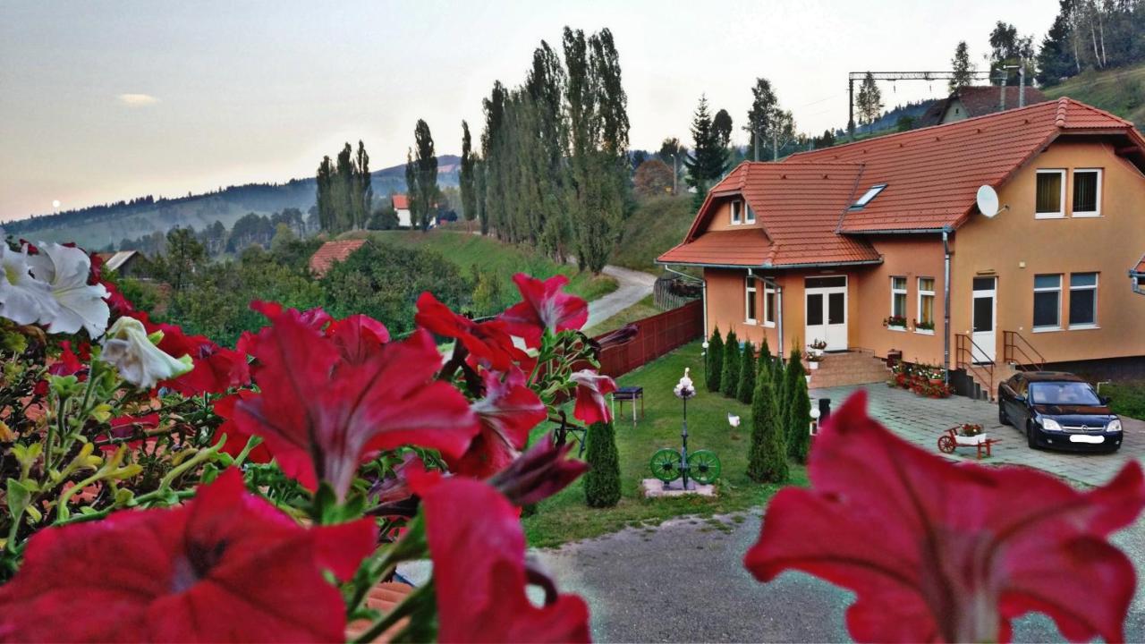 Picnic Panzio Bed & Breakfast Lunca de Sus Dış mekan fotoğraf