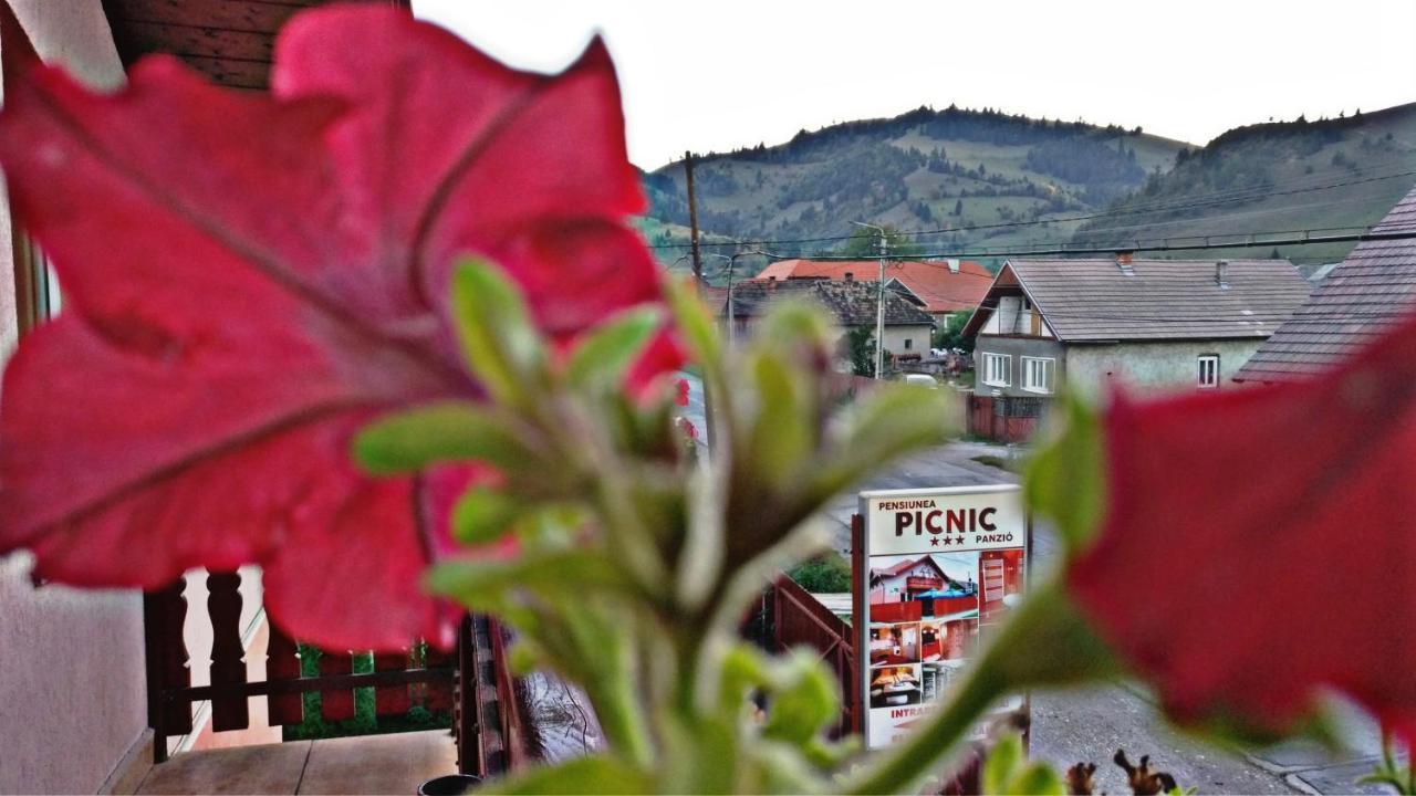 Picnic Panzio Bed & Breakfast Lunca de Sus Dış mekan fotoğraf